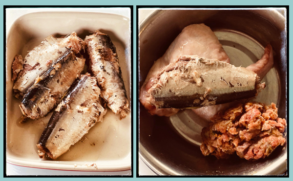 Sardines for health raw fed dogs