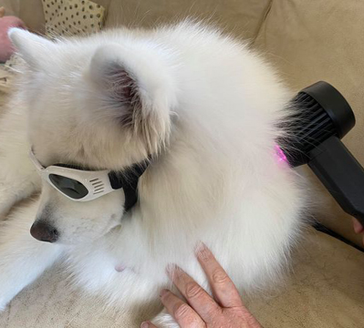 Cold Laser therapy
